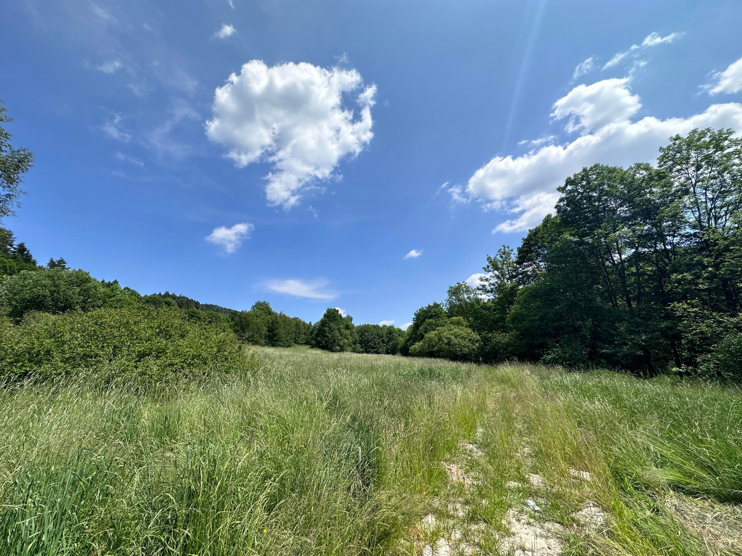 Działka, Kasina Wielka 6750 m2 - Rolna Siedliskowa