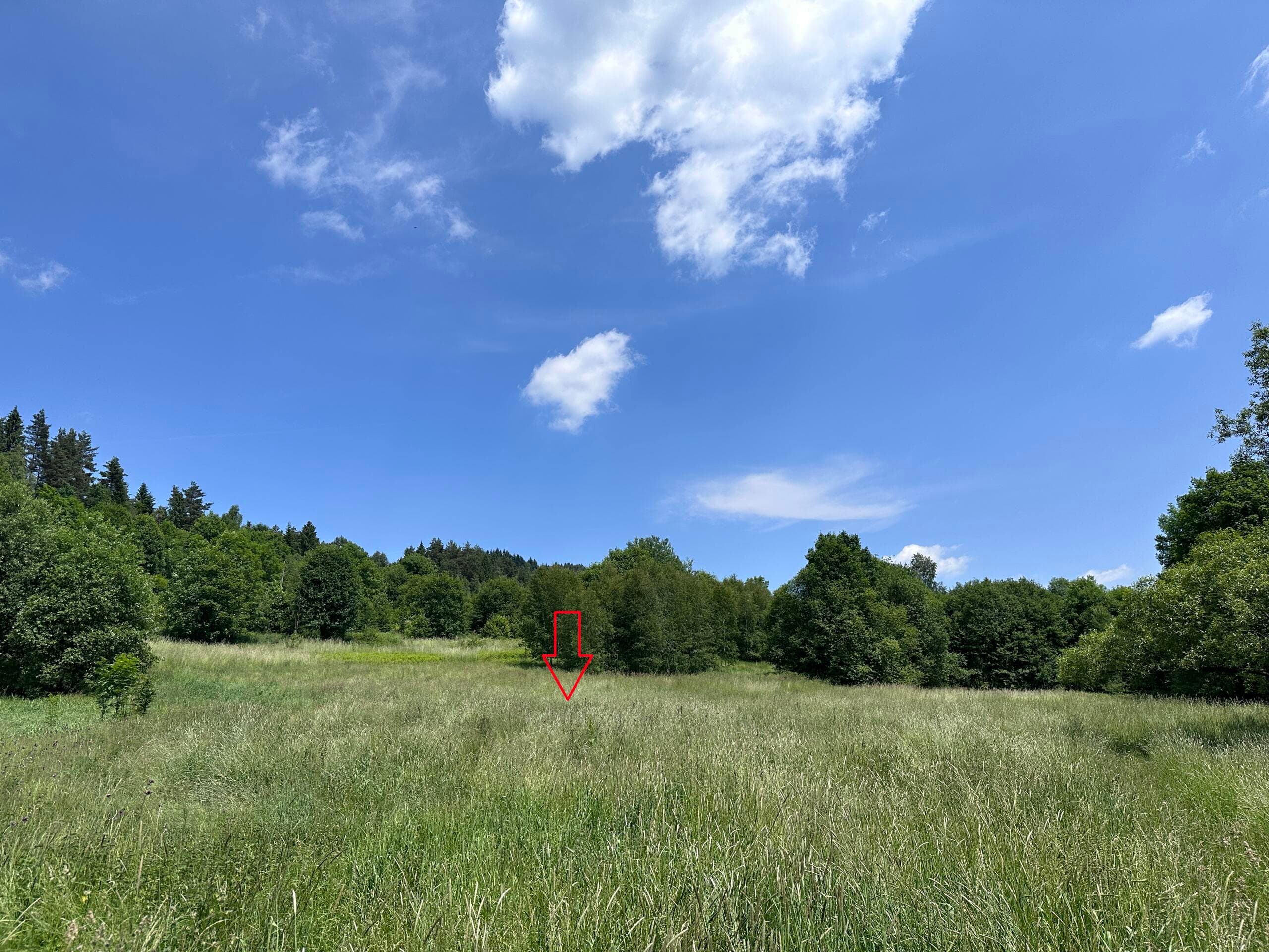 Działka, Kasina Wielka 3400 m2 - Rolna Siedliskowa