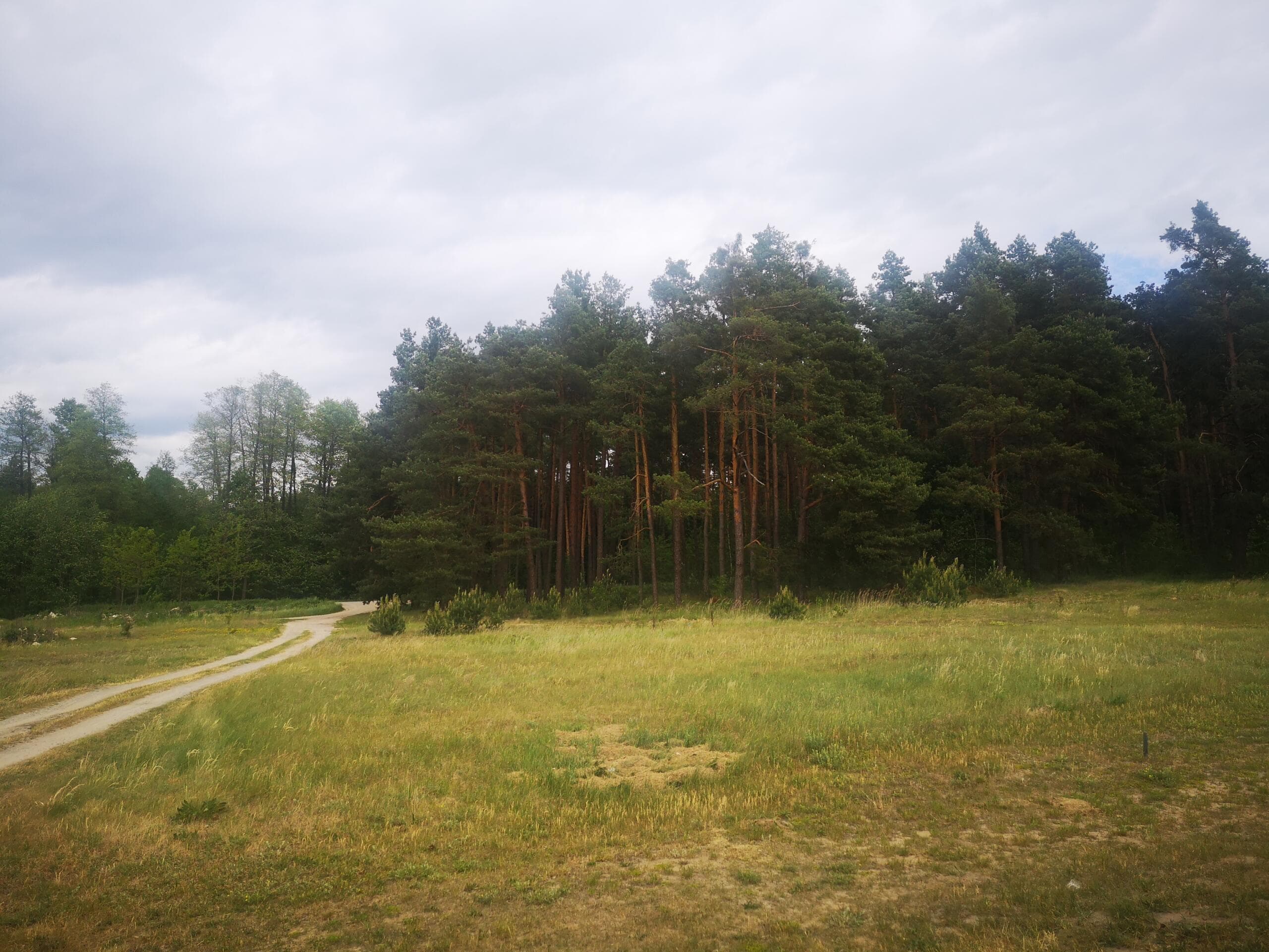 Działka budowlana 4281m2, Płazów - Roztocze