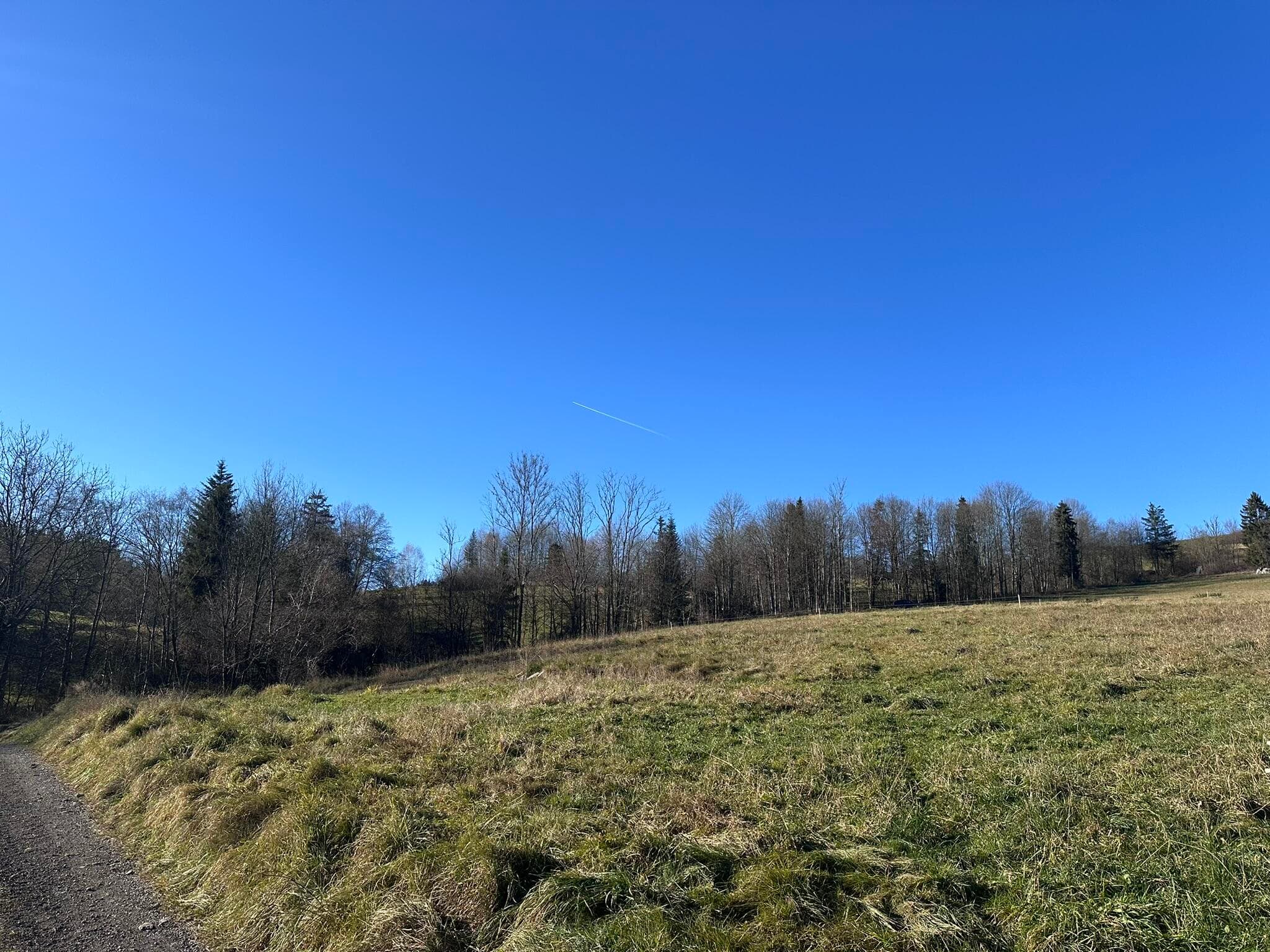 Działka budowlana Poręba Wielka/Koninki 1165m2